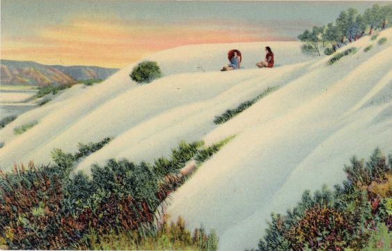 Alamogordo New Mexico Great White Sands National Monument Sunbathers Vintage Postcard (unused) - Vintage Postcard Boutique