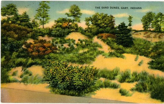 Gary Indiana Sand Dunes Vintage Postcard 1940 - Vintage Postcard Boutique