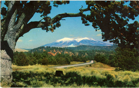 San Francisco Peaks Arizona Interstate Highway 40 Vintage Postcard 1966 - Vintage Postcard Boutique