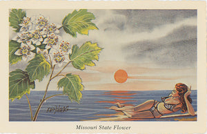 Missouri State Flower - Hawthorne Blossom Vintage Botanical Postcard Signed Artist Ken Haag (unused) - Vintage Postcard Boutique