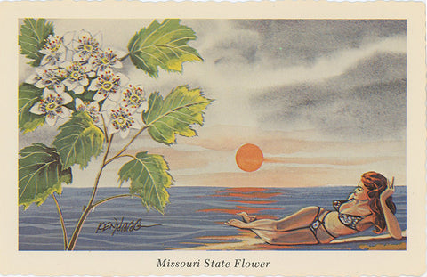 Missouri State Flower - Hawthorne Blossom Vintage Botanical Postcard Signed Artist Ken Haag (unused)