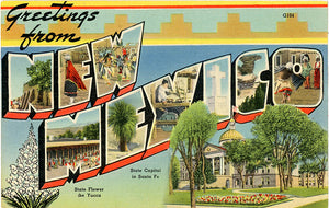 New Mexico Sunshine State Large Letter Vintage Postcard (unused)