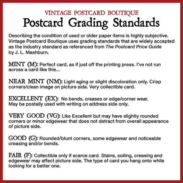 Alaska American Bald Eagle Eagle Vintage Postcard circa 1910 (unused) - Vintage Postcard Boutique