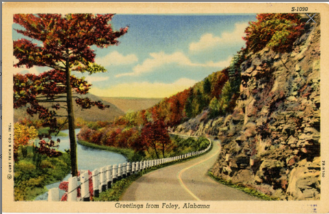 Foley Alabama Winding Road Autumn Foliage Vintage Postcard (unused) - Vintage Postcard Boutique