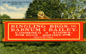 Sarasota Florida Ringling Bros. and Barnum & Bailey Billboard Vintage Postcard (unused) - Vintage Postcard Boutique