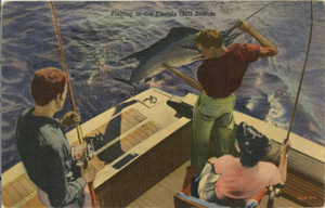 Florida Gulf Stream Swordfish Fishing Vintage Postcard 1949 - Vintage Postcard Boutique