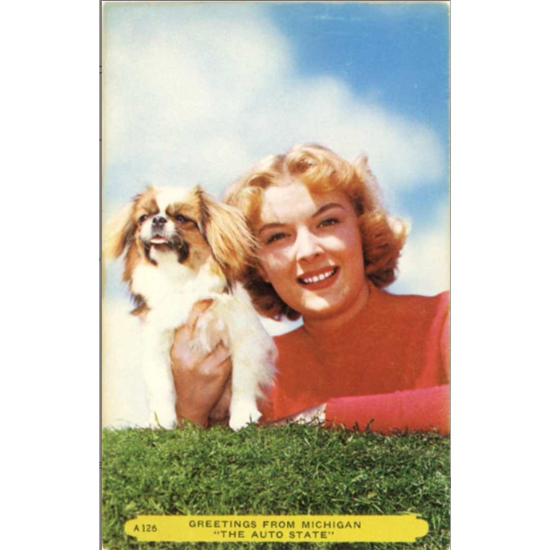 Japanese Chin Dog & Pretty Girl Michigan Auto State Vintage Greetings Postcard (unused) - Vintage Postcard Boutique