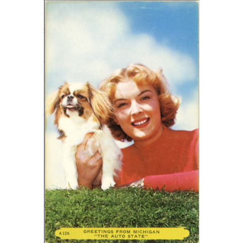 Japanese Chin Dog & Pretty Girl Michigan Auto State Vintage Greetings Postcard (unused) - Vintage Postcard Boutique