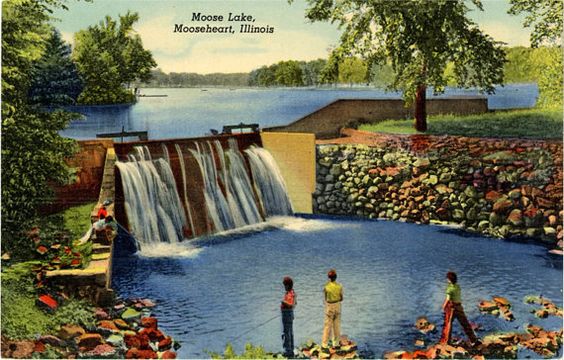 Moose Lake Mooseheart Illinois City of Childhood Vintage Postcard (unused) - Vintage Postcard Boutique