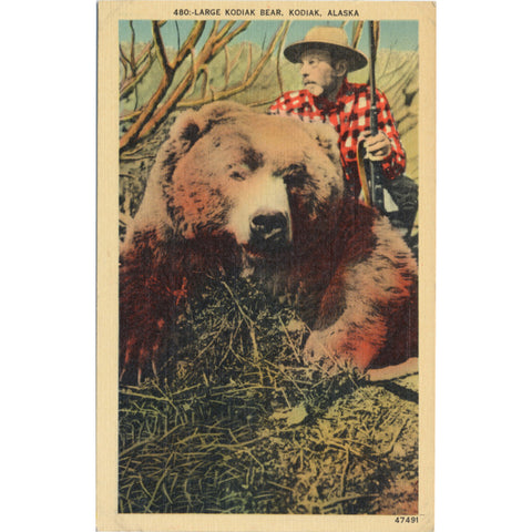 Kodiak Island Alaska Kodiak Bear with Hunter Vintage Postcard (unused) - Vintage Postcard Boutique