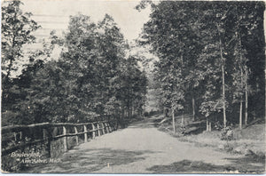 Ann Arbor Michigan Boulevard Vintage Postcard 1909 - Vintage Postcard Boutique