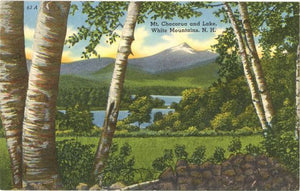Mt. Chocorua and Lake White Mountains New Hampshire Birch Trees Vintage Postcard (unused) - Vintage Postcard Boutique