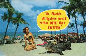Bathing Beauty Brunette in Bikini on Florida Beach with Alligator Vintage Postcard (unused) - Vintage Postcard Boutique