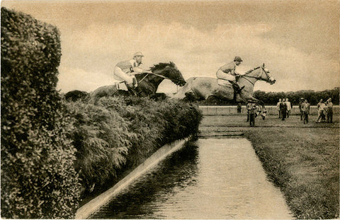 Belmont Park Steeplechasers Over Water Jump Long Island New York Vintage Postcard (unused)