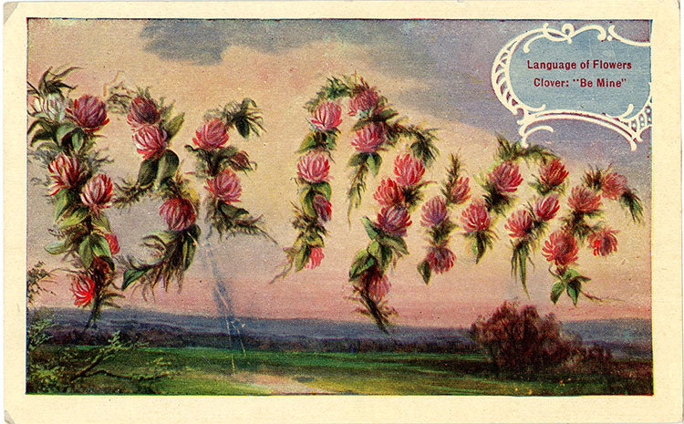 Be Mine Language of Flowers Clover Vintage Botanical Postcard (unused) - Vintage Postcard Boutique