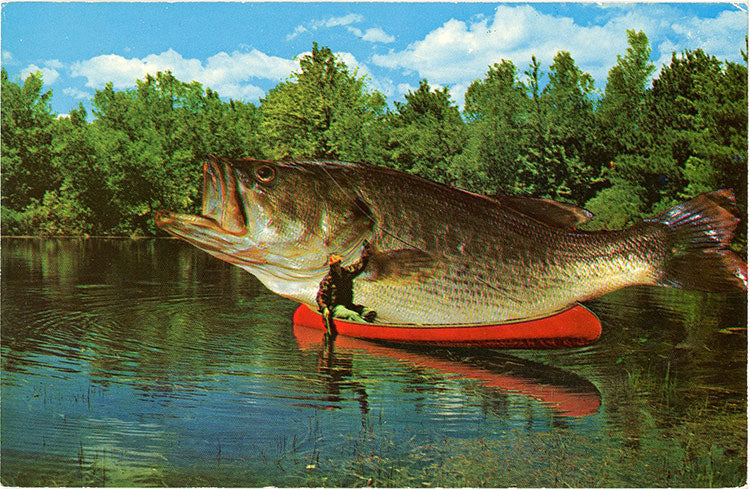 Fishing Big One That Got Away Comic Exaggeration Vintage Postcard (unused) - Vintage Postcard Boutique