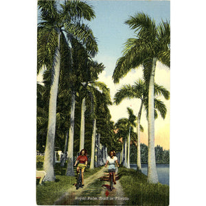 Pretty Girls Biking on Royal Palm Trail Florida Vintage Postcard (unused) - Vintage Postcard Boutique