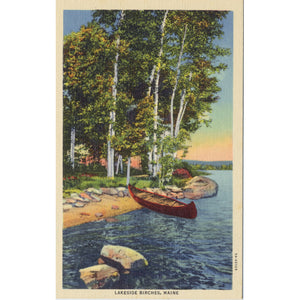 Lakeside Birches Maine Canoe Vintage Postcard (unused) - Vintage Postcard Boutique