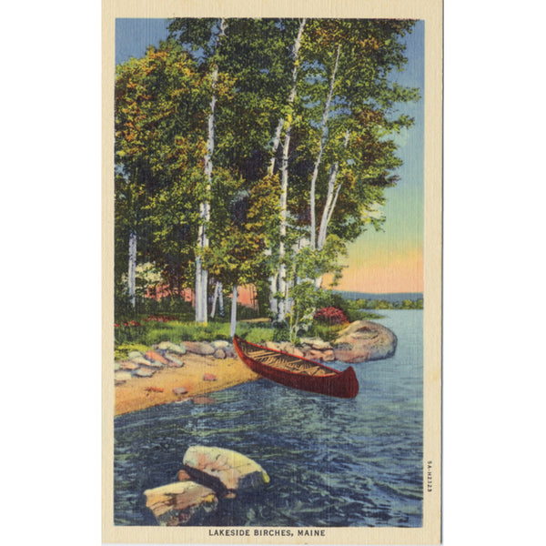 Lakeside Birches Maine Canoe Vintage Postcard (unused) - Vintage Postcard Boutique