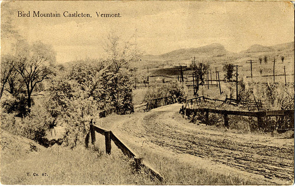 Castleton Vermont Bird Mountain Vintage Postcard - Vintage Postcard Boutique