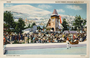 Black Forest Chicago World's Fair Ice Skating Pond Illinois Vintage Postcard (unused) - Vintage Postcard Boutique