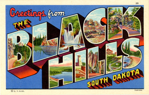 Black Hills South Dakota Large Letter Vintage Linen Greetings Postcard (unused) - Vintage Postcard Boutique