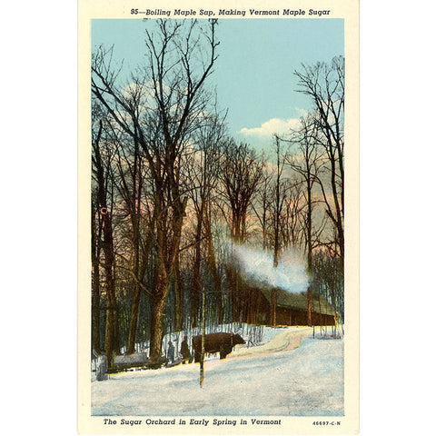 Vermont Sugar Orchard Boiling Maple Sap in Early Spring Vintage Postcard (unused) - Vintage Postcard Boutique