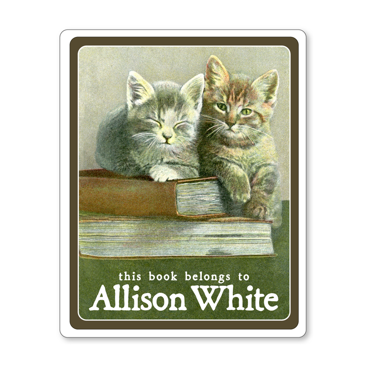 Book Lover Kittens Ex Libris Personalized Adhesive Bookplates - BABY SHOWER GIFT - Vintage Postcard Boutique