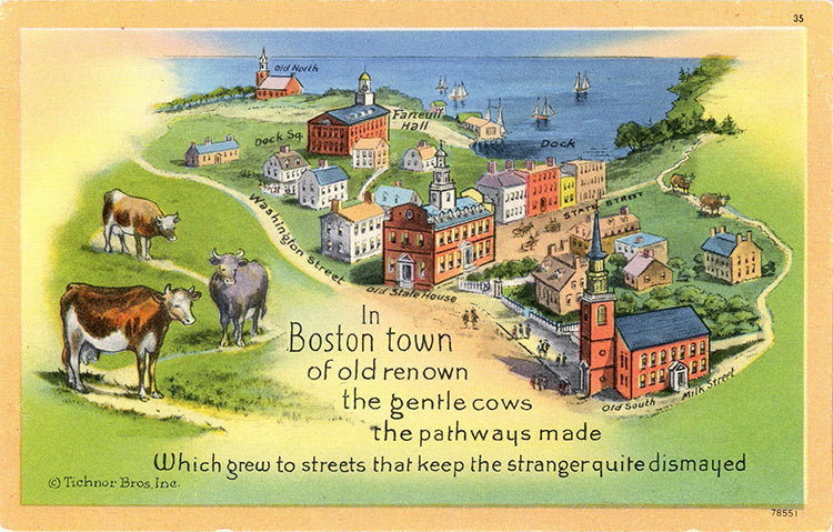 Boston Massachusetts Boston Town Poem Cows Vintage Postcard (unused)
