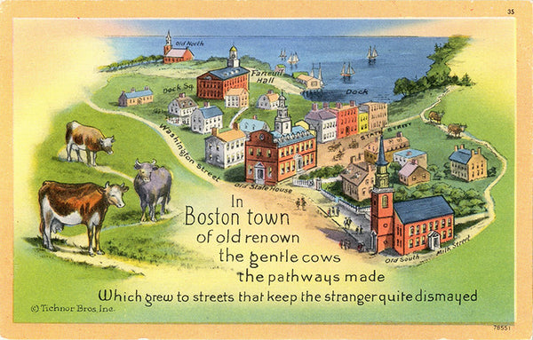 Boston Massachusetts Boston Town Poem Cows Vintage Postcard (unused)