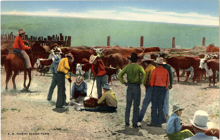 Cowboys Branding Cattle in Southwest Vintage Postcard circa 1940s (unused) - Vintage Postcard Boutique