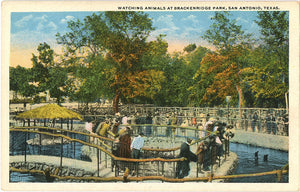San Antonio Texas Breckenridge Park Zoo People Watching Animals Vintage Postcard (unused) - Vintage Postcard Boutique