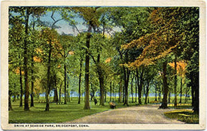 Bridgeport Connecticut Seaside Park Drive Vintage Postcard - Vintage Postcard Boutique