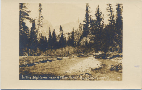 Buffalo Wyoming Big Horns near H F Bar Ranch RPPC Vintage Postcard (unused) - Vintage Postcard Boutique