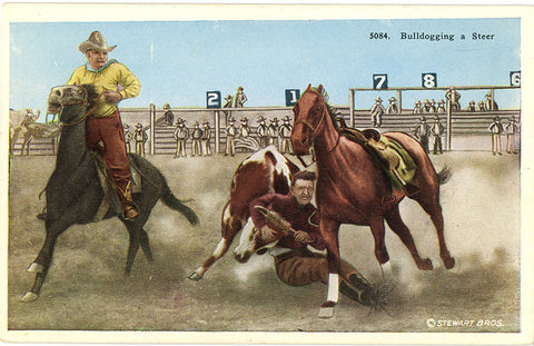 Vintage Western Postcard – Cowboys Bulldogging A Steer (unused) circa 1920 - Vintage Postcard Boutique