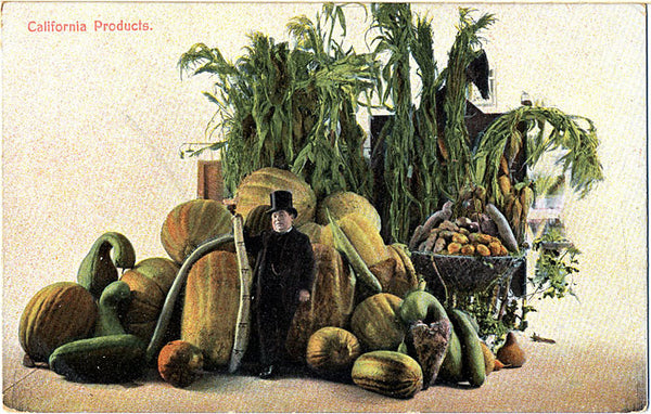California Fruits & Vegetables Products EXAGGERATION Vintage Postcard circa 1910 (unused) - Vintage Postcard Boutique