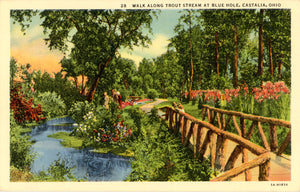 Castalia Ohio Walk Along Trout Stream at Blue Hole Vintage Postcard (unused) - Vintage Postcard Boutique