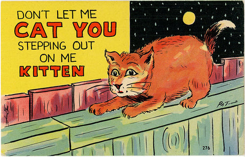 Cat You Stepping Out Vintage Comic Postcard (unused) - Vintage Postcard Boutique