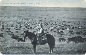 Cattle Range Sunset Cowboy Montana Vintage Postcard 1907 - Vintage Postcard Boutique