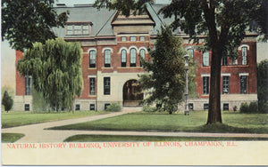 University of Illinois Champaign Natural History Building Vintage Postcard circa 1910 (unused) - Vintage Postcard Boutique