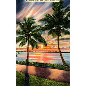 Cocoanut Palms Against Florida Sunset Vintage Postcard (unused) - Vintage Postcard Boutique