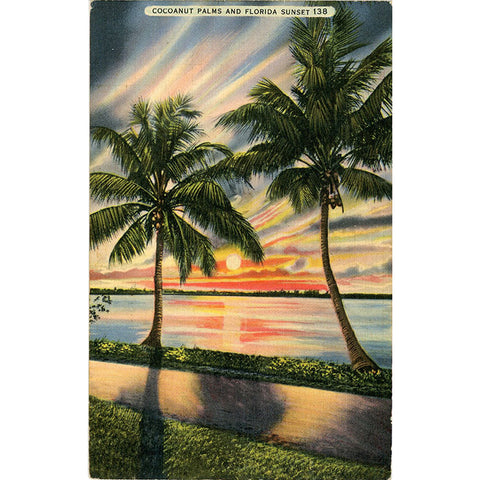 Cocoanut Palms & Florida Sunset Vintage Postcard 1940 - Vintage Postcard Boutique