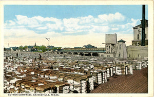 Gainesville Texas Cotton Compress Vintage Postcard circa 1920s (unused) - Vintage Postcard Boutique