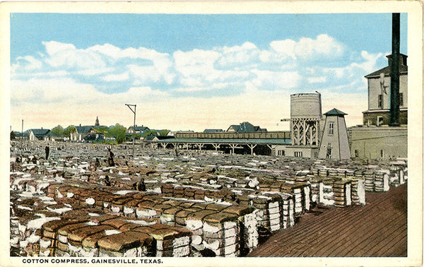 Gainesville Texas Cotton Compress Vintage Postcard circa 1920s (unused) - Vintage Postcard Boutique