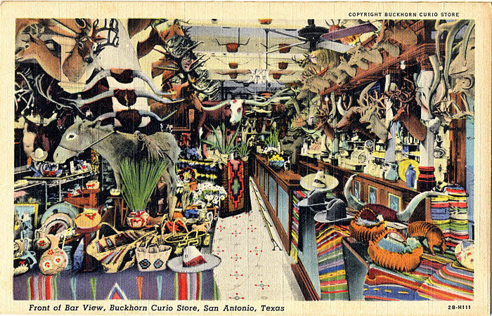 San Antonio Texas Buckhorn Curio Bar Vintage Postcard (unused) - Vintage Postcard Boutique