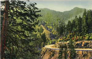 Great Smoky Mountains National Park Highway Curves Vintage Postcard (unused) - Vintage Postcard Boutique
