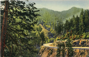 Great Smoky Mountains National Park Highway Curves Vintage Postcard (unused)
