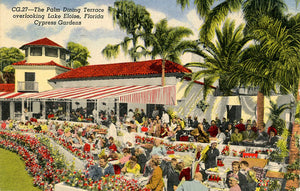 Cypress Gardens Florida Palm Dining Terrace Overlooking Lake Eloise Vintage Postcard 1956 - Vintage Postcard Boutique
