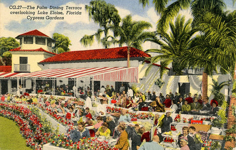 Cypress Gardens Florida Palm Dining Terrace Overlooking Lake Eloise Vintage Postcard 1956 - Vintage Postcard Boutique