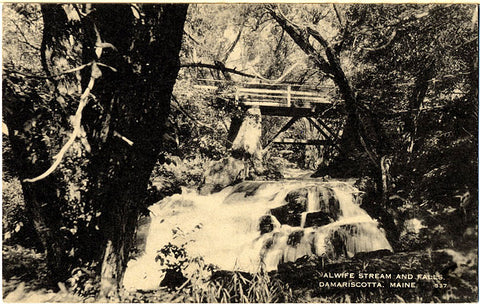 Damariscotta Maine Alwife Stream and Falls Vintage Postcard - Vintage Postcard Boutique